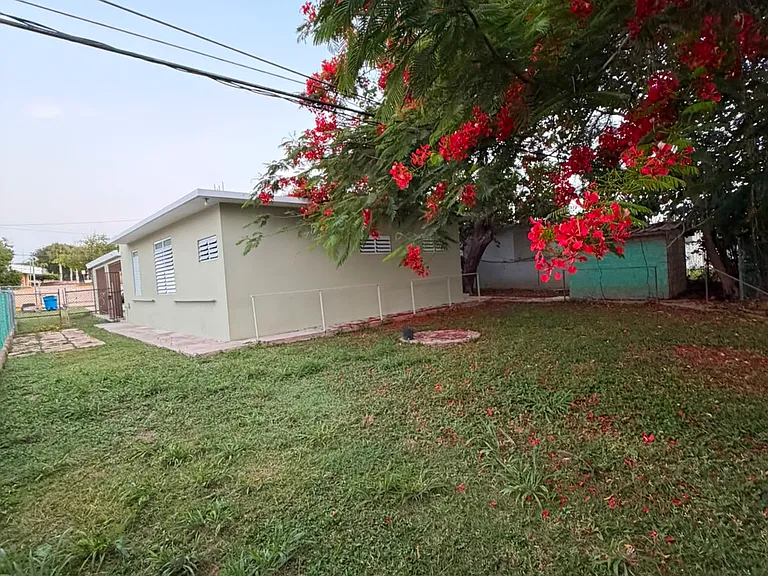 115 Calle Crown — Photo 6