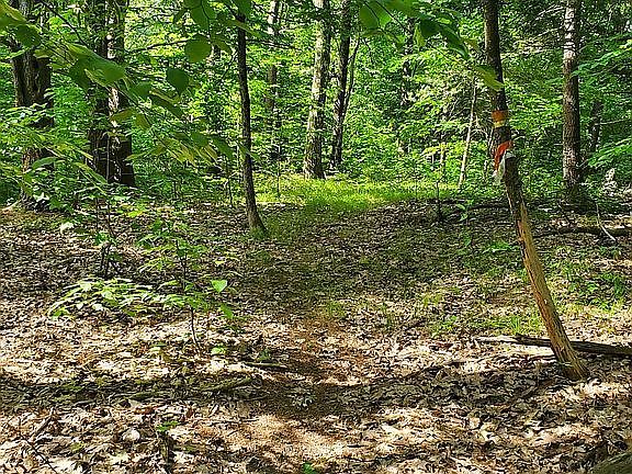 Marked trails