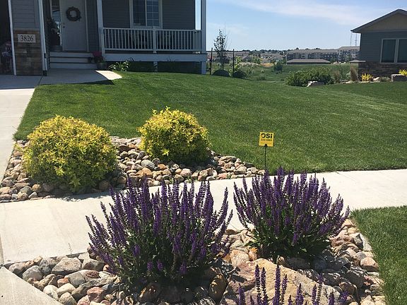 Front yard landscaping