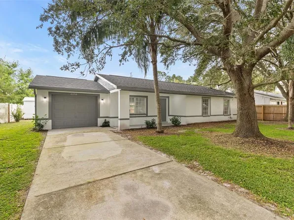 22716 Penny Loop, Land O Lakes, FL 34639