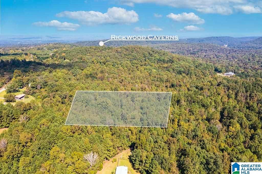 0 Tyler Hill Rd, Warrior, AL 35180 MLS 1300652 Zillow