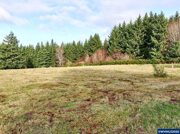 15931 S Forest Haven Rd, Molalla, OR 97038