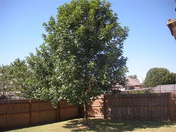 2nd image of 1710 McGarry Ln