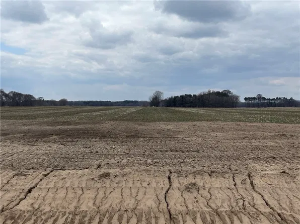 Lot #9 23rd Street, Elk Mound, WI 54739