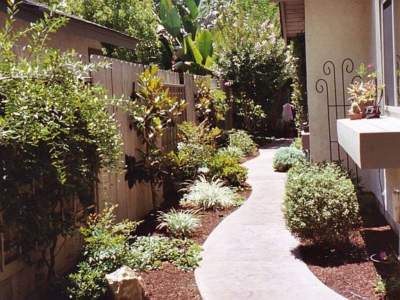 Path from front to back