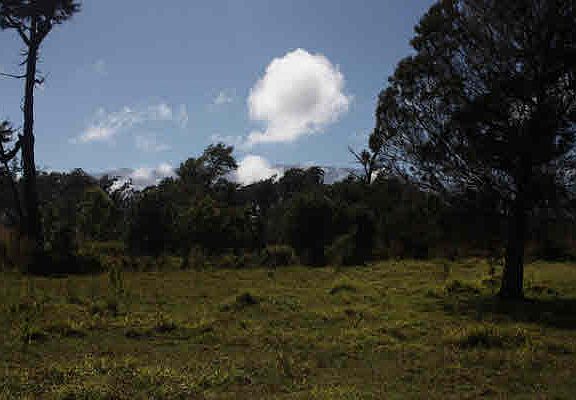 4th image of Kahana Dr