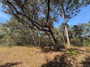 SE 115th Place Rd LOT 6, Ocklawaha, FL 32179
