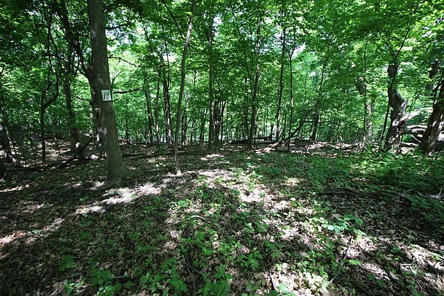 2nd image of 253rd St