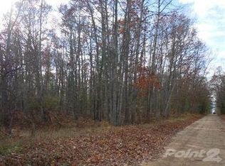 Steinberg Rd, Wellston, MI 49689