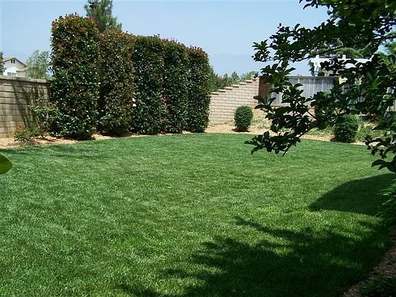 Huge 11,000 sqft lot