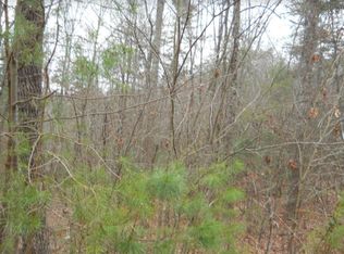 0 Squirrel Hunting Dr, Ellijay, GA 30536