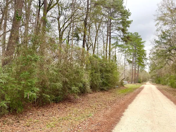 Pine Valley Dr, Shepherd, TX 77371