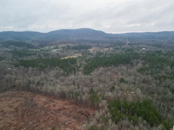 0 Highway 49 #0, Lineville, AL 36266