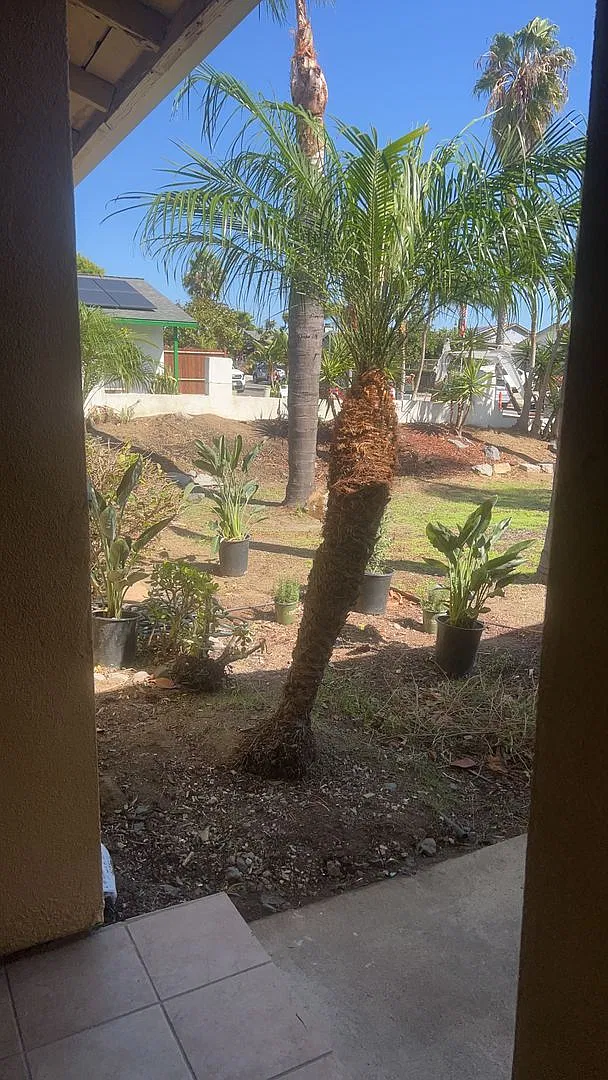 Single Story - 4 Bedroom Home — Photo 1