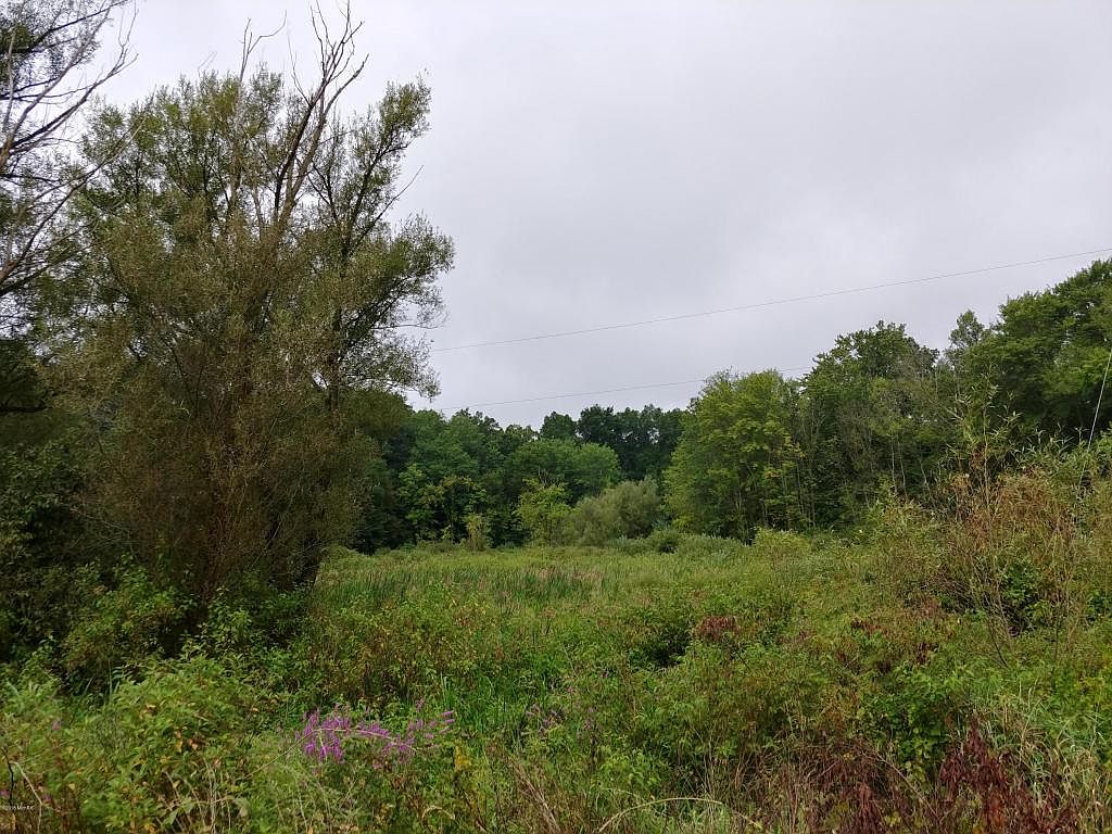 53350 Hemlock Lake Rd, Marcellus, MI 49067 Zillow