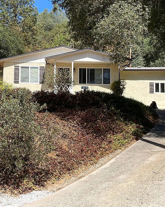 Mature landscaping with drip