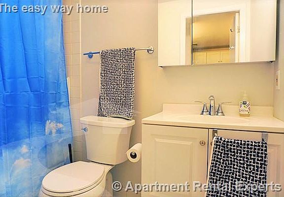 Apartment Rental Experts