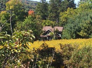 413 Halsey Valley Rd, Spencer, NY 14883