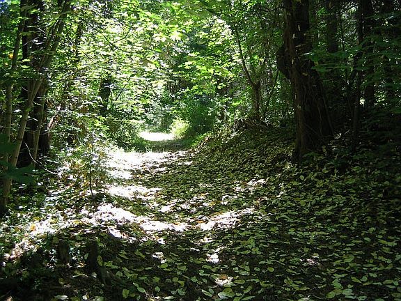 serence and peaceful