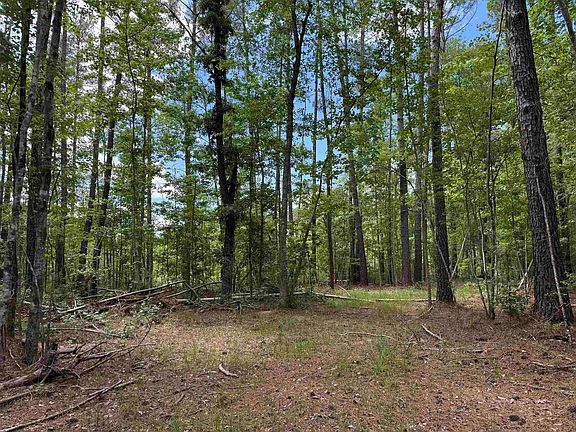5th image of 17.8 Acres-5871 Pennyroyal Rd.