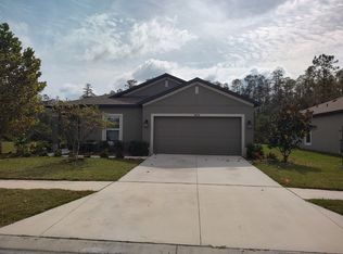18858 Alfaro Loop, Spring Hill, FL 34610