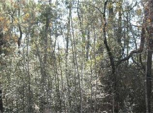 29433 Sky Forest Cir, Magnolia, TX 77355