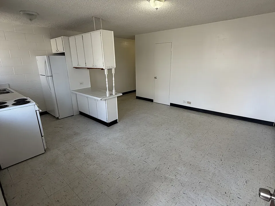 623 N Kuakini St #302