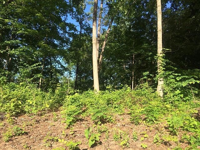 1st image of Tecumseh Dr