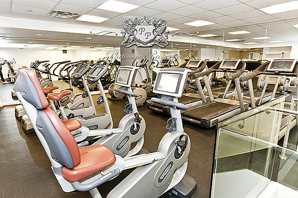 Rented by Platinum Properties | media 82