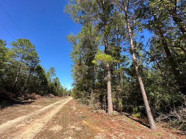 PARCEL Bear Head Rd #A, Crestview, FL 32539