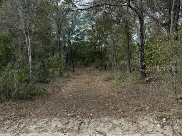 NE 95th Ave, Bronson, FL 32621