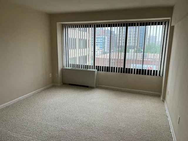 Silver Spring Towers — Photo 102