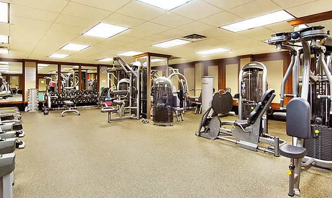 Rented by Optima Source | media 12