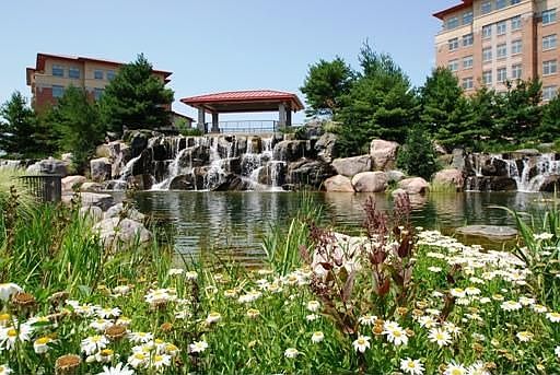 1st image of 40 Prairie Park Dr APT 509