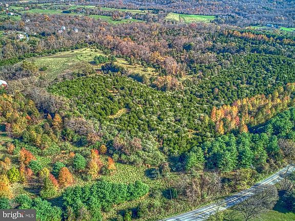 View of Lot A - 11.13 acres