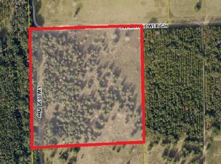 425 SW Levi Way, Fort White, FL 32038