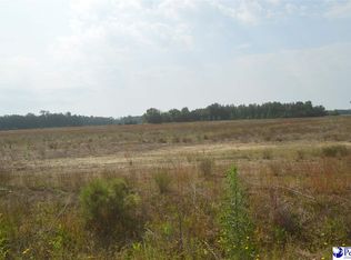 LOT 2 Byrdtown Rd, Hartsville, SC 29550