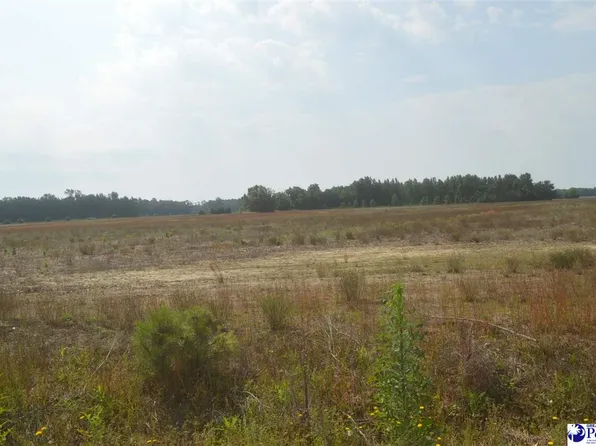 LOT 2 Byrdtown Rd, Hartsville, SC 29550