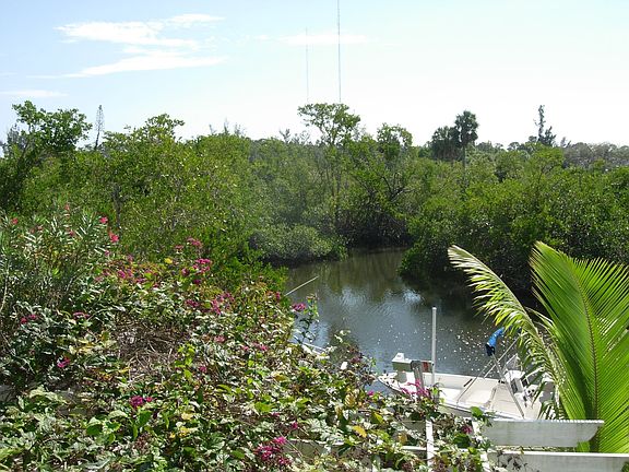 no neighbors to the rear