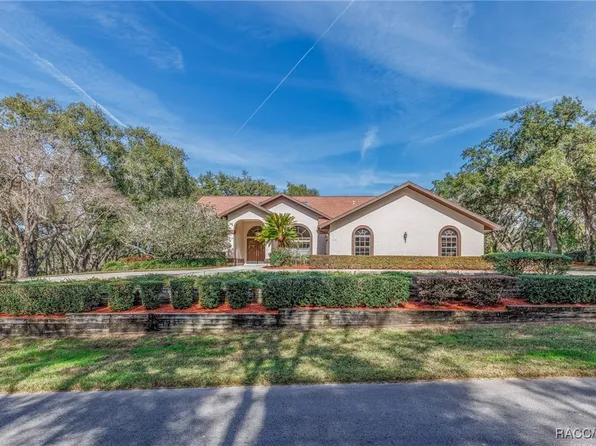 115 E Ireland Ct, Hernando, FL 34442