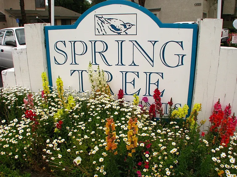 Spring Tree Apartments — Photo 11