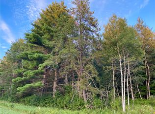 LOT 1 Highway 63, Hayward, WI 54843