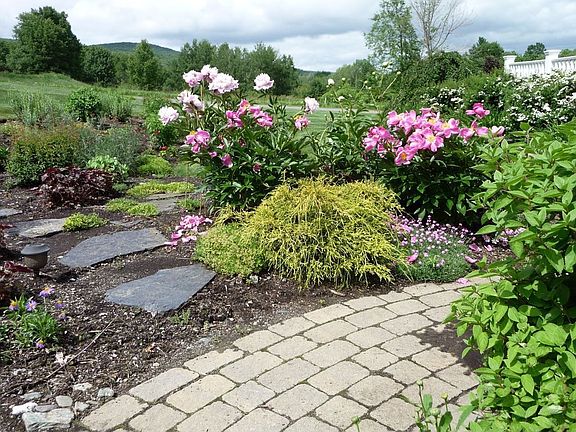 mountain view from garden