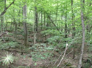 Tbd00 Mohawk Dr, Mountain City, TN 37683