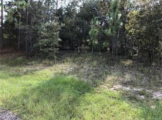 6804 N Waycross Way, Citrus Springs, FL 34433