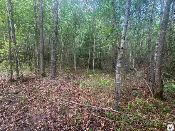 Willie Reed Rd, Jefferson, TX 75657