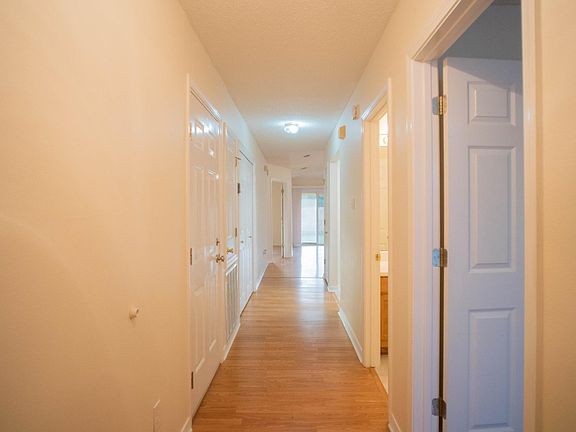 no carpets at all, none