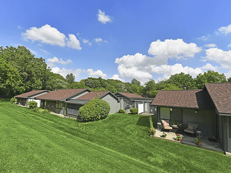 Wooded Views