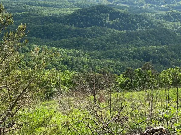 Tbd Hogback Rd, Bland, VA 24315