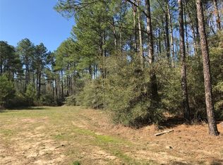 802 County Road 483 S, Broaddus, TX 75929